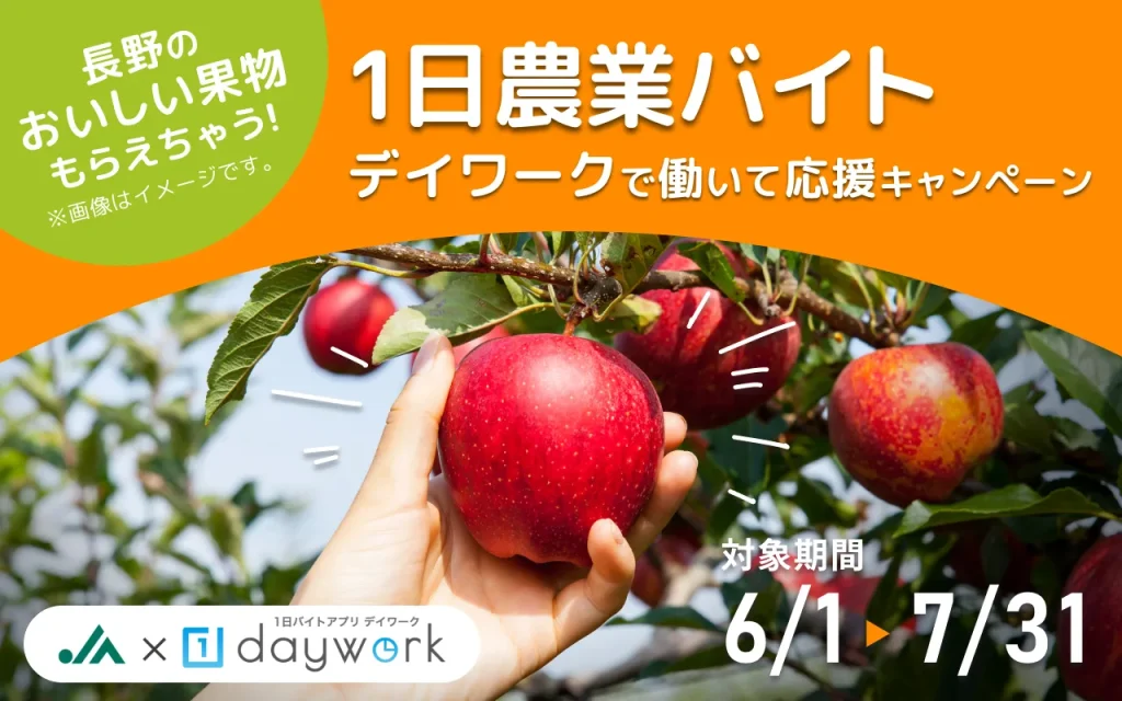 2026年夏のキャンペーン